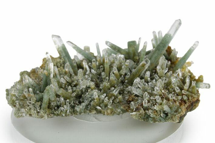 Chlorite Included Quartz Crystal Cluster - Peru #347806